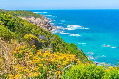 Avustralya kıyı şeridi Cape Otway deniz fenerinden izleniyor