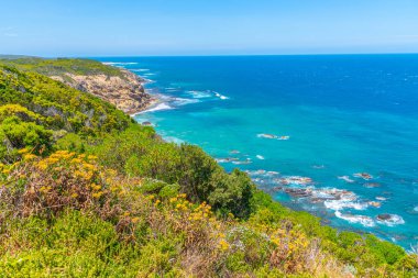 Avustralya kıyı şeridi Cape Otway deniz fenerinden izleniyor