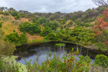 Avustralya 'daki Tower Hill rezervinde krater gölü.