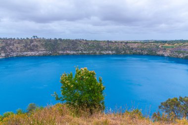 Avustralya 'daki Gambier Dağı' nda mavi göl.