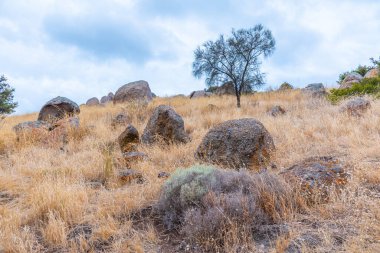 Avustralya 'da Victor Limanı yakınlarındaki Granit adanın manzarası