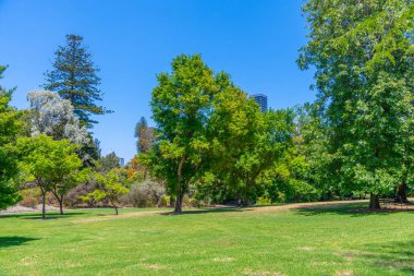 Adelaide, Avustralya 'daki Botanik Bahçesi
