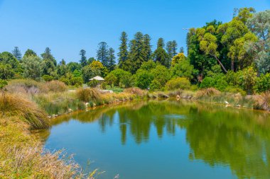 Adelaide, Avustralya 'daki botanik bahçesinde yapay gölet