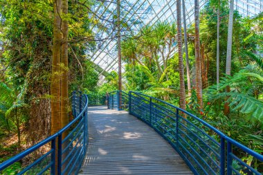 Adelaide, Avustralya 'daki Botanik Bahçesinde 200. yıl konservatuarı