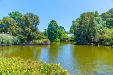 Adelaide, Avustralya 'daki botanik bahçesinde yapay gölet