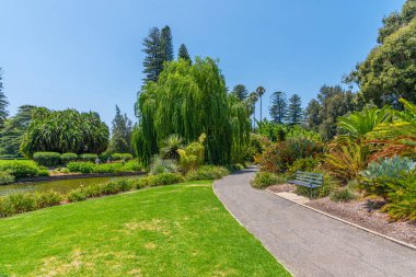 Adelaide, Avustralya 'daki botanik bahçesinde yapay gölet