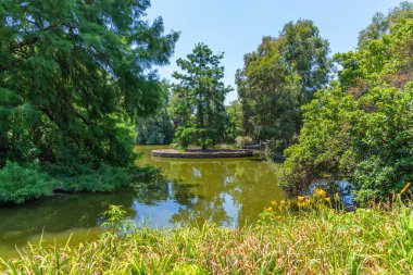 Adelaide, Avustralya 'daki botanik bahçesinde yapay gölet