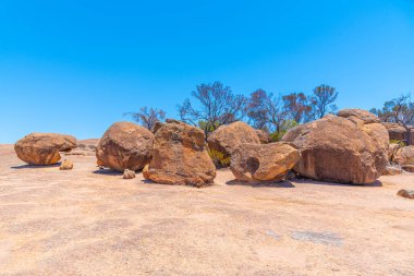 Avustralya 'daki Dalga kaya yaban hayatı parkının manzarası