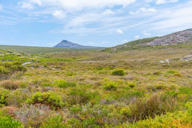 Fransız, Avustralya 'da Cape le grand' da zirve yaptı.