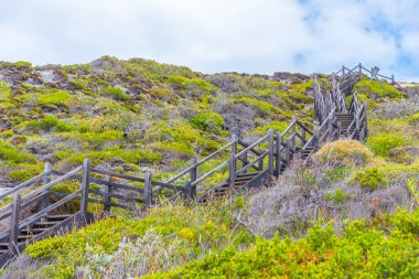 Avustralya 'daki Torndirrup Ulusal Parkı' na giden tahta merdiven.