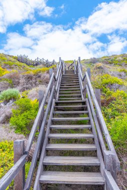 Avustralya 'daki Torndirrup Ulusal Parkı' na giden tahta merdiven.