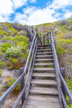 Avustralya 'daki Torndirrup Ulusal Parkı' na giden tahta merdiven.