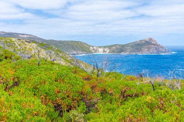 Torndirrup Ulusal Parkı, Avustralya sahilinde bitki örtüsü