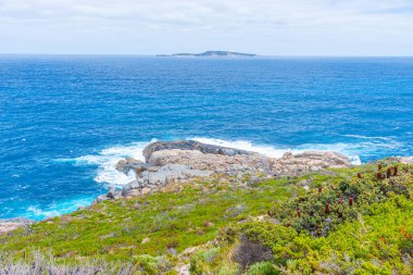 Torndirrup Ulusal Parkı, Avustralya sahilinde bitki örtüsü