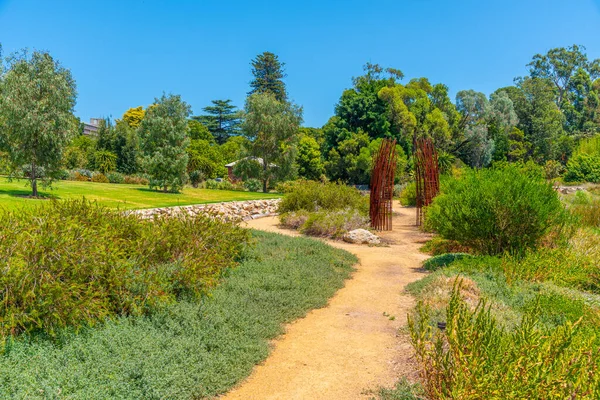 Adelaide Avustralya Daki Botanik Bahçesi — Stok fotoğraf