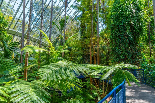 Двухсотлетняя Консерватория Ботаническом Саду Аделаиде Австралия — стоковое фото