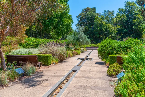 Adelaide Avustralya Daki Botanik Bahçesi — Stok fotoğraf