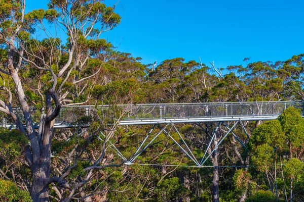 Valley of the giants tree top walk in australia