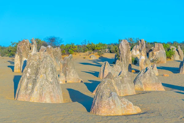 Sunset Pinnacles Desert Australia — Stock Photo, Image