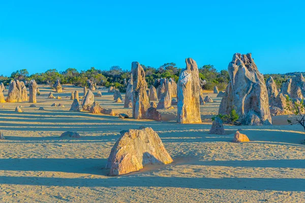 Solnedgang Pinnacles Ørkenen Australien - Stock-foto