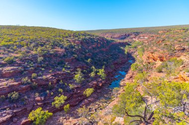 Avustralya 'daki Kalbarri Milli Parkı' nda Z kıvrımı