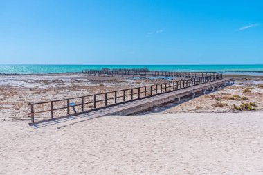 Hamelin Havuzu 'ndaki tahta kaldırım Stromatolite, Avustralya' da görülmek için kullanılır.