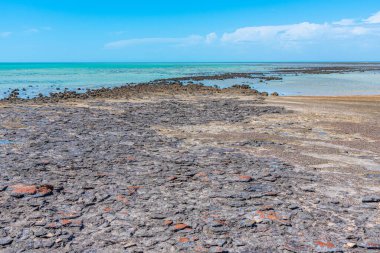 Avustralya 'daki Hamelin havuzunda Stromatolitler