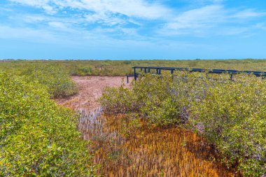Carnarvon, Avustralya 'daki doğal patika.