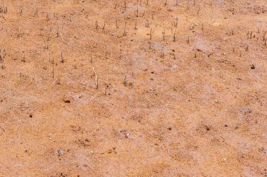 Carnarvon, Avustralya 'daki doğal patika.