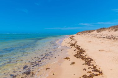 Avustralya 'daki Cape Range Ulusal Parkı' ndaki sahil