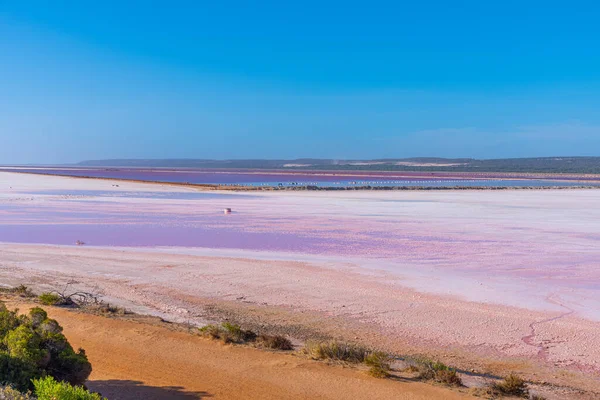 Pink lake at port gregory in Australia