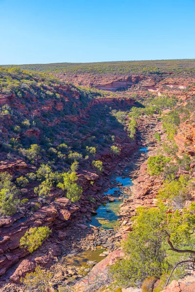 Ohyb Národním Parku Kalbarri Austrálii — Stock fotografie