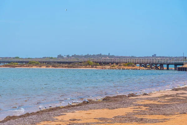 Riverside Park Carnarvon Australia — Foto de Stock