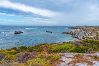 Avustralya 'daki Rottnest adasının engebeli kıyı şeridi