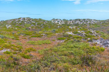 Avustralya 'daki Rottnest adasının manzarası