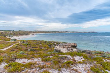 Avustralya 'daki Rottnest Adası' nda somon koyunda.