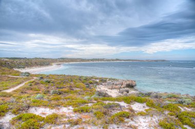 Avustralya 'daki Rottnest Adası' nda somon koyunda.