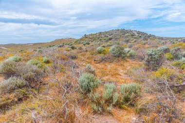 Avustralya 'daki Rottnest adasının manzarası