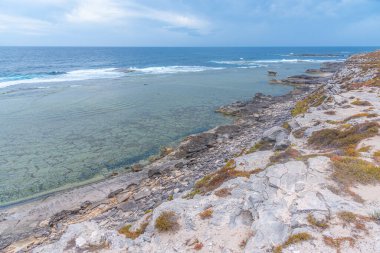 Cape Vlamingh Avustralya 'daki Rottnest adasında.