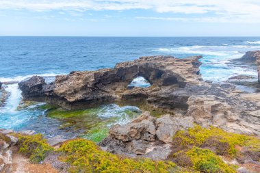 Cape Vlamingh Avustralya 'daki Rottnest adasında.