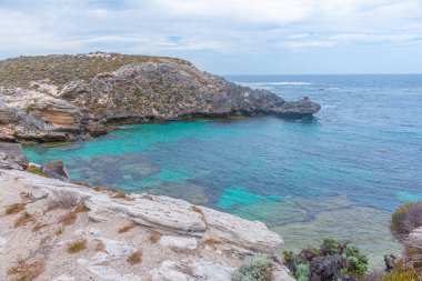 Avustralya 'daki Rottnest adasında balık kancası.