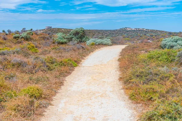 Οδική Εκκαθάριση Μέσω Rottnest Νησί Στην Αυστραλία — Φωτογραφία Αρχείου