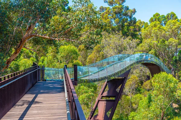 Federation Walkway Kings Park Botanikus Kert Perth Ausztrália — Stock Fotó