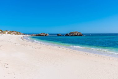 Avustralya 'daki Rottnest adasında muhabbet kuşu körfezi