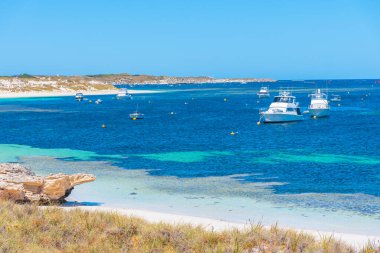 Avustralya 'daki Rottnest Adası' ndaki Stark körfezine demir atmış tekneler.