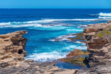 Cape Vlamingh Avustralya 'daki Rottnest adasında.