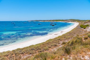 Avustralya 'daki Rottnest Adası' ndaki Rocky Körfezi 'ne demir atmış tekneler.