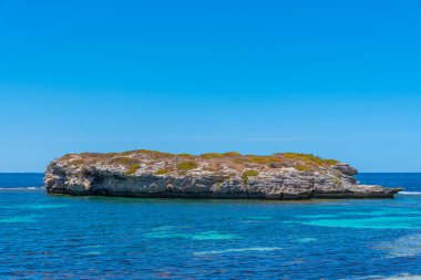 Avustralya 'daki Rottnest Adası' ndaki yeşil ada.