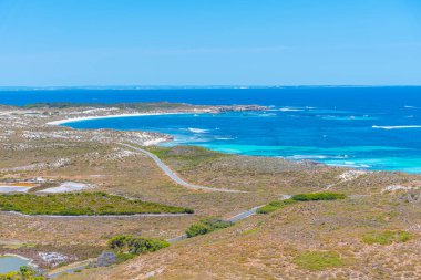 Avustralya 'daki Rottnest Adası' nda somon koyunda.