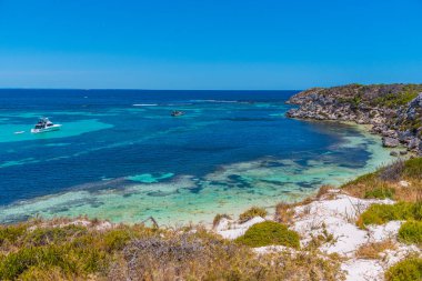Avustralya 'daki Rottnest Adası' ndaki park noktasından görülen yunus balığı koyu.